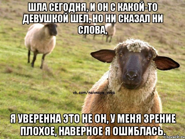 шла сегодня, и он с какой-то девушкой шел, но ни сказал ни слова, я уверенна это не он, у меня зрение плохое, наверное я ошиблась., Мем  Наивная Овца