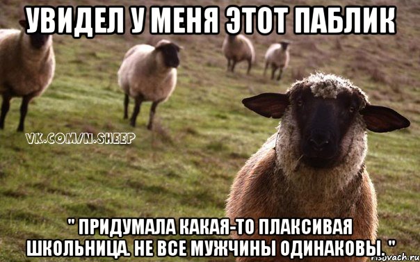 Увидел у меня этот паблик " Придумала какая-то плаксивая школьница. Не все мужчины одинаковы. ", Мем  Наивная Овца