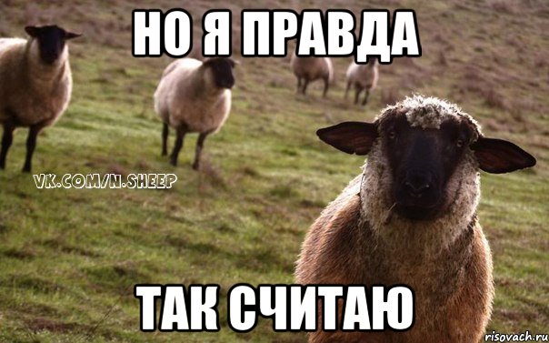 Но я правда Так считаю, Мем  Наивная Овца