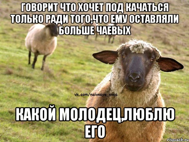 Говорит что хочет под качаться только ради того,что ему оставляли больше чаевых Какой молодец,Люблю его, Мем  Наивная Овца