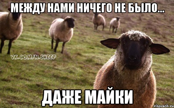 между нами ничего не было... даже майки, Мем  Наивная Овца