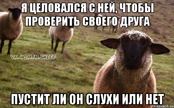 Я целовался с ней, чтобы проверить своего друга пустит ли он слухи или нет