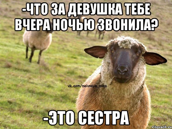 -Что за девушка тебе вчера ночью звонила? -ЭТО СЕСТРА, Мем  Наивная Овца