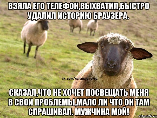 Взяла его телефон,выхватил,быстро удалил историю браузера. Сказал,что не хочет посвещать меня в свои проблемы,мало ли что он там спрашивал. Мужчина мой!, Мем  Наивная Овца