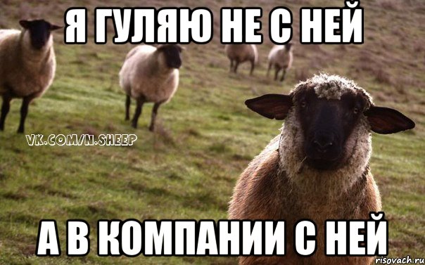 я гуляю не с ней а в компании с ней, Мем  Наивная Овца