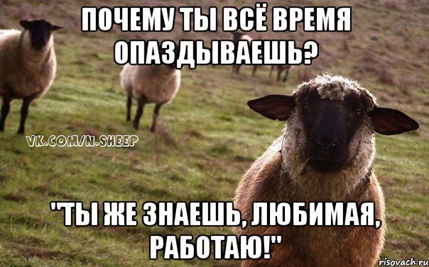 Почему ты всё время опаздываешь? "Ты же знаешь, любимая, работаю!", Мем  Наивная Овца