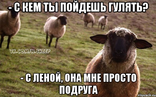 - С кем ты пойдешь гулять? - с Леной, она мне просто подруга, Мем  Наивная Овца