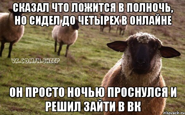 Сказал что ложится в полночь, но сидел до четырех в онлайне Он просто ночью проснулся и решил зайти в вк, Мем  Наивная Овца