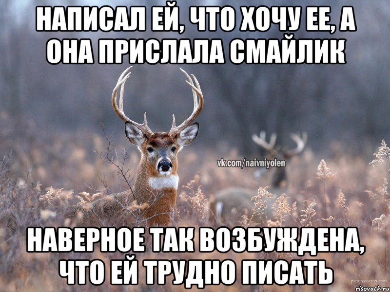 написал ей, что хочу ее, а она прислала смайлик наверное так возбуждена, что ей трудно писать, Мем   Наивный олень