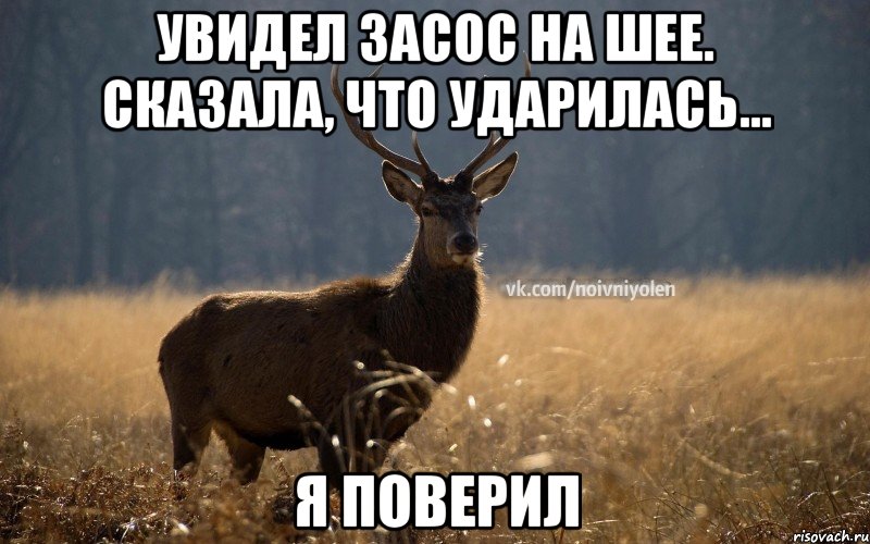 увидел засос на шее. Сказала, что ударилась... я поверил, Мем Наивный Олень vk2