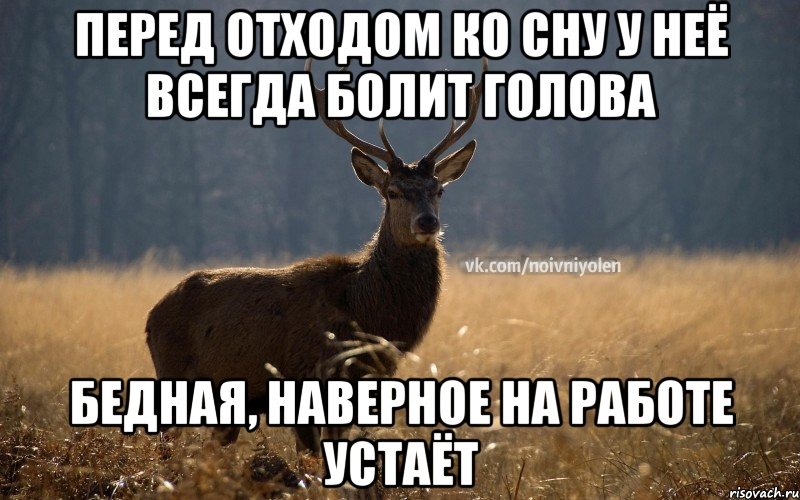 Перед отходом ко сну у неё всегда болит голова Бедная, наверное на работе устаёт, Мем Наивный Олень vk2