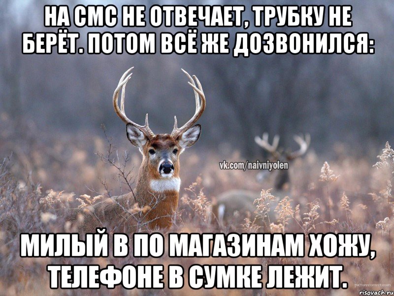 На смс не отвечает, трубку не берёт. Потом всё же дозвонился: Милый в по магазинам хожу, телефоне в сумке лежит., Мем   Наивный олень