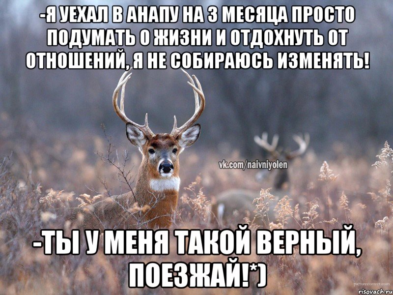 -Я уехал в Анапу на 3 месяца просто подумать о жизни и отдохнуть от отношений, я не собираюсь изменять! -Ты у меня такой верный, поезжай!*), Мем   Наивный олень