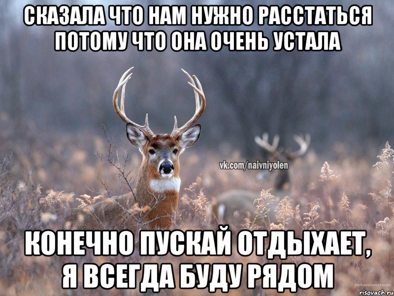 Сказала что нам нужно расстаться потому что она очень устала Конечно пускай отдыхает, я всегда буду рядом, Мем   Наивный олень