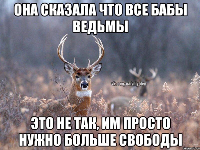 Она сказала что все бабы ведьмы Это не так, им просто нужно больше свободы, Мем   Наивный олень