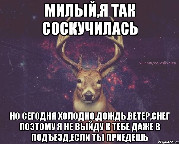 Милый,я так соскучилась но сегодня холодно,дождь,ветер,снег поэтому я не выйду к тебе даже в подъезд,если ты приедешь, Мем  олень наивный