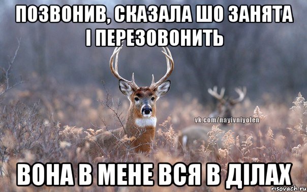 ПОЗВОНИВ, СКАЗАЛА ШО ЗАНЯТА І ПЕРЕЗОВОНИТЬ ВОНА В МЕНЕ ВСЯ В ДІЛАХ, Мем   Наивный олень