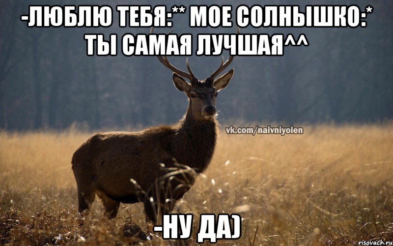 -Люблю тебя:** мое солнышко:* ты самая лучшая^^ -Ну да), Мем Наивный Олень vk2