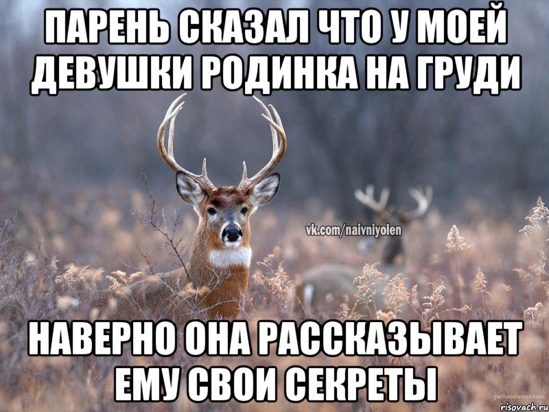 парень сказал что у моей девушки родинка на груди наверно она рассказывает ему свои секреты, Мем   Наивный олень