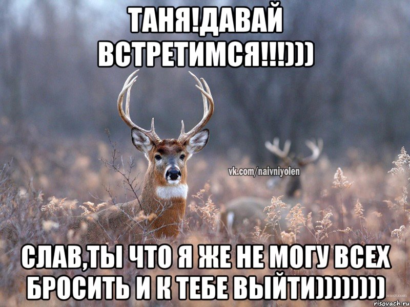 Таня!Давай встретимся!!!))) Слав,ты что я же не могу всех бросить и к тебе выйти)))))))), Мем   Наивный олень