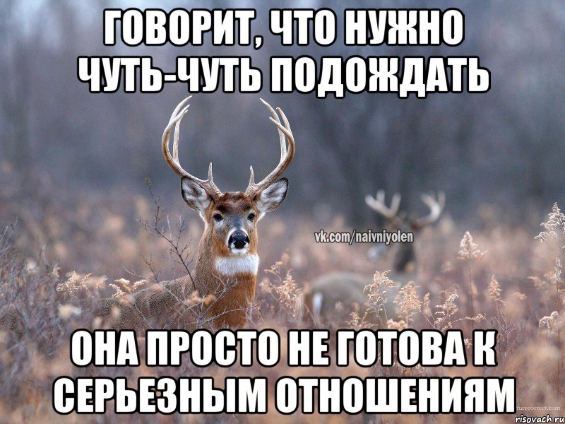 Говорит, что нужно чуть-чуть подождать Она просто не готова к серьезным отношениям, Мем   Наивный олень