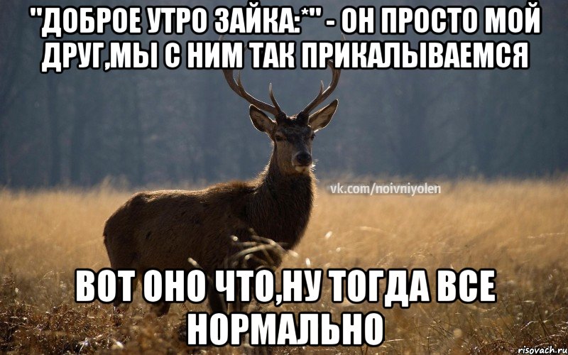 "Доброе утро зайка:*" - он просто мой друг,мы с ним так прикалываемся Вот оно что,ну тогда все нормально, Мем Наивный Олень vk2