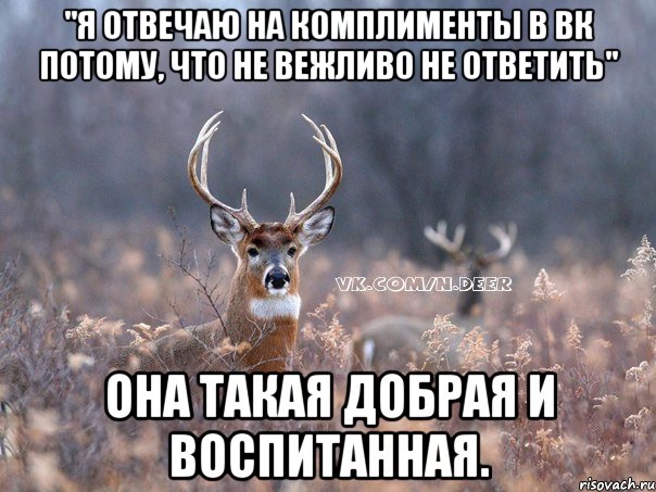 "Я отвечаю на комплименты в ВК потому, что не вежливо не ответить" она такая добрая и воспитанная., Мем   Наивный олень