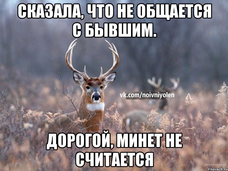 Сказала, что не общается с бывшим. дорогой, минет не считается, Мем Наивный Олень vk