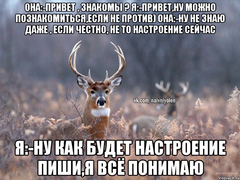 Она:-привет , знакомы ? Я:-Привет,ну можно познакомиться,если не против) Она:-Ну не знаю даже , если честно, не то настроение сейчас Я:-ну как будет настроение пиши,я всё понимаю, Мем   Наивный олень