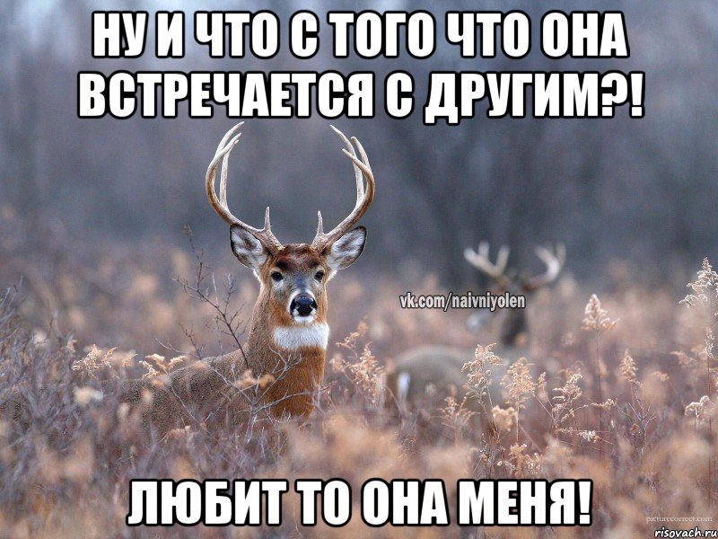 Ну и что с того что она встречается с другим?! Любит то она меня!, Мем   Наивный олень