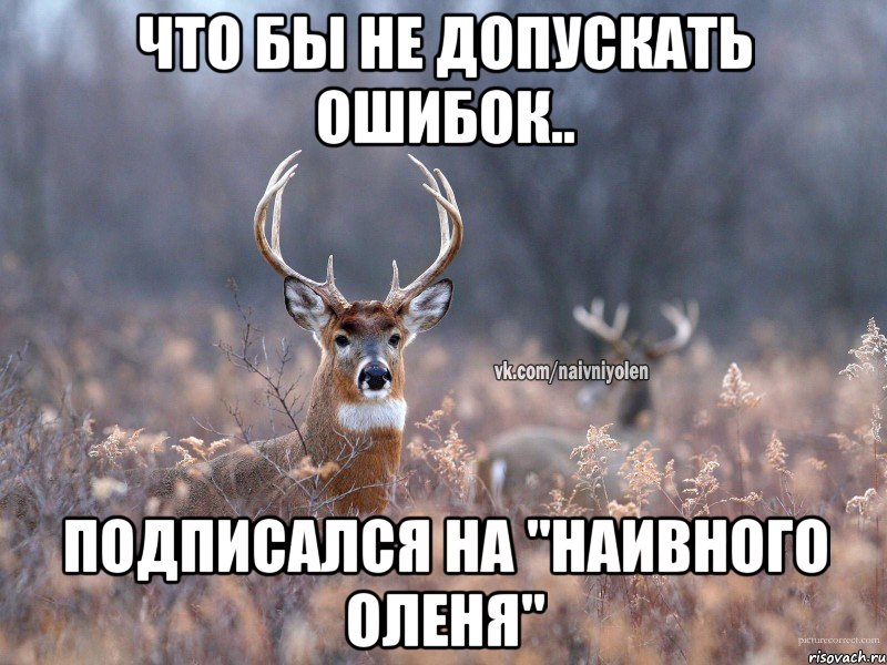 Что бы не допускать ошибок.. Подписался на "Наивного оленя", Мем   Наивный олень