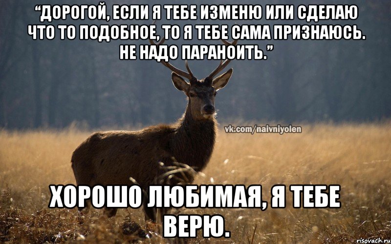 “Дорогой, если я тебе изменю или сделаю что то подобное, то я тебе сама признаюсь. НЕ надо параноить.” Хорошо любимая, я тебе верю., Мем Наивный Олень vk2