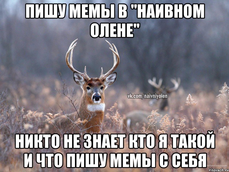 пишу мемы в "наивном олене" никто не знает кто я такой и что пишу мемы с себя, Мем   Наивный олень