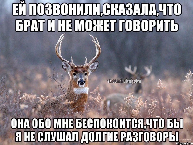 Ей позвонили,сказала,что брат и не может говорить Она обо мне беспокоится,что бы я не слушал долгие разговоры, Мем   Наивный олень