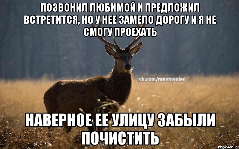 позвонил любимой и предложил встретится, но у нее замело дорогу и я не смогу проехать наверное ее улицу забыли почистить, Мем Наивный Олень vk2