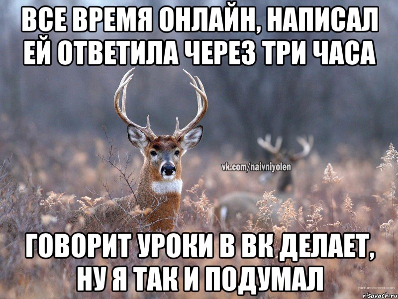 Все время онлайн, написал ей ответила через три часа Говорит уроки в вк делает, ну я так и подумал, Мем   Наивный олень