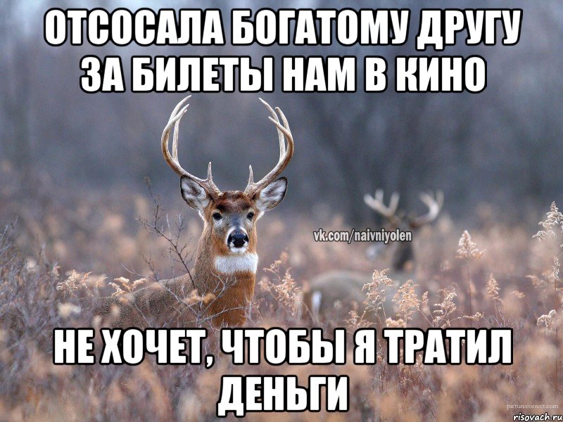 Отсосала богатому другу за билеты нам в кино Не хочет, чтобы я тратил деньги, Мем   Наивный олень