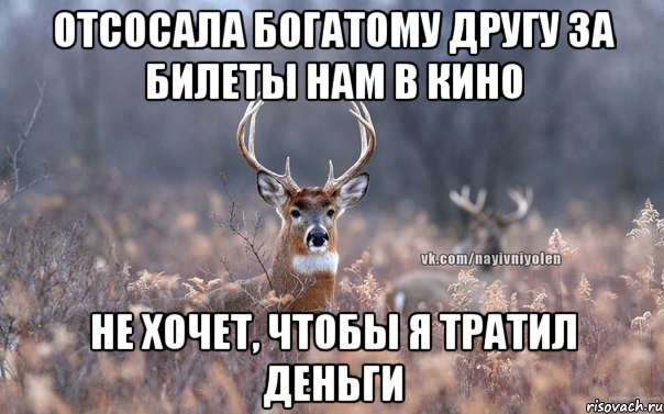 Отсосала богатому другу за билеты нам в кино Не хочет, чтобы я тратил деньги, Мем   Наивный олень