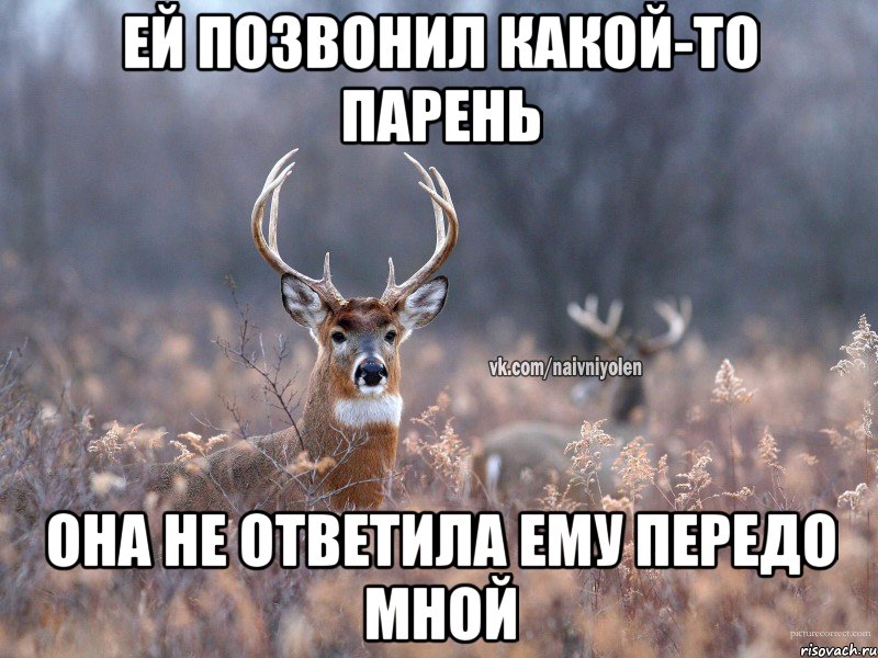 Ей позвонил какой-то парень она не ответила ему передо мной, Мем   Наивный олень