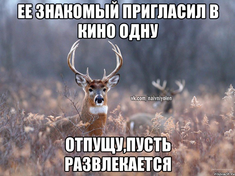 Ее знакомый пригласил в кино одну Отпущу,пусть развлекается, Мем   Наивный олень