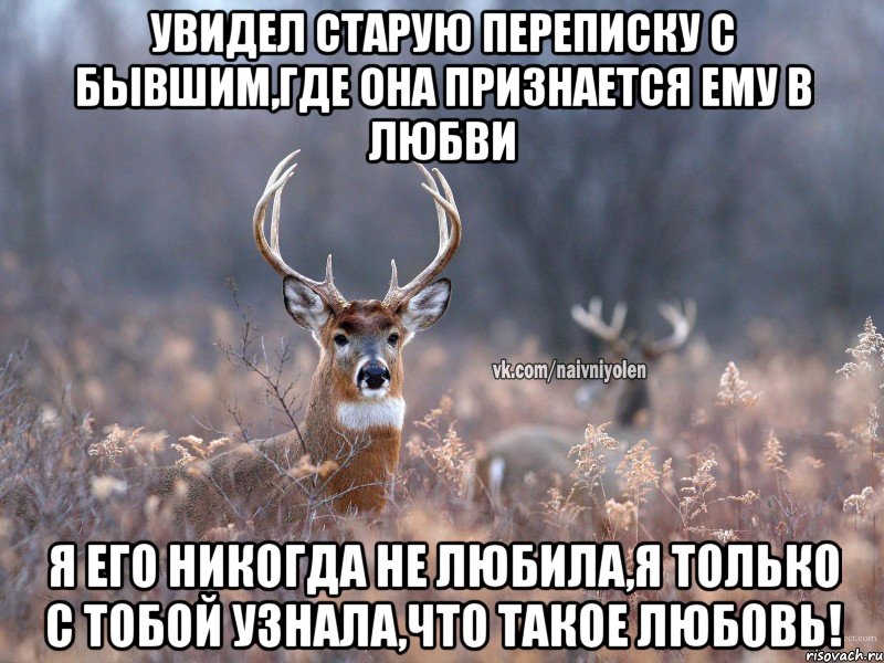 Увидел старую переписку с бывшим,где она признается ему в любви Я его никогда не любила,я только с тобой узнала,что такое любовь!, Мем   Наивный олень