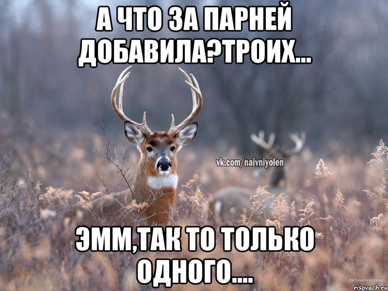 А что за парней добавила?троих... Эмм,так то только одного...., Мем   Наивный олень