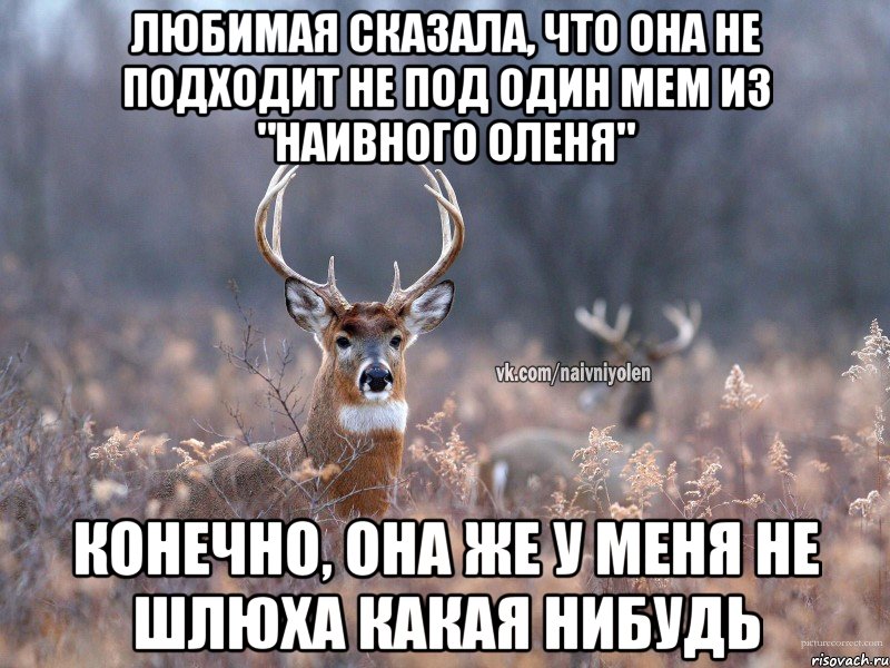 Любимая сказала, что она не подходит не под один мем из "наивного оленя" Конечно, она же у меня не шлюха какая нибудь, Мем   Наивный олень