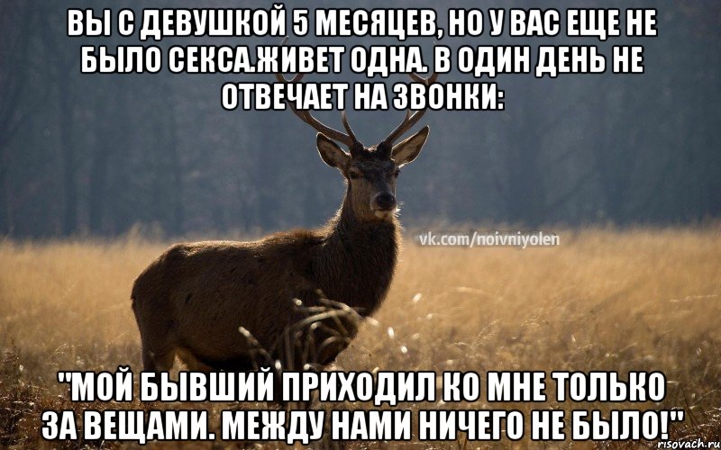 Вы с девушкой 5 месяцев, но у вас еще не было секса.Живет одна. В один день не отвечает на звонки: "Мой бывший приходил ко мне только за вещами. Между нами ничего не было!", Мем Наивный Олень vk2