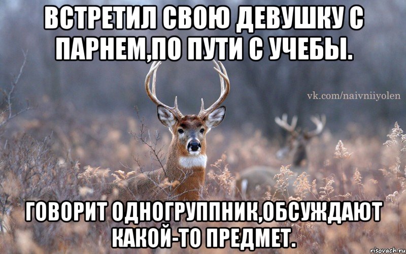 Встретил свою девушку с парнем,по пути с учебы. Говорит одногруппник,обсуждают какой-то предмет., Мем   Наивный олень