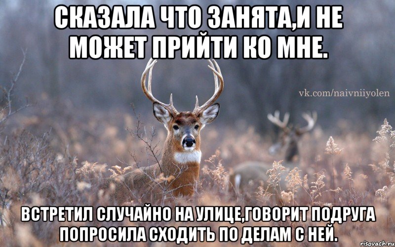 Сказала что занята,и не может прийти ко мне. Встретил случайно на улице,говорит подруга попросила сходить по делам с ней., Мем   Наивный олень