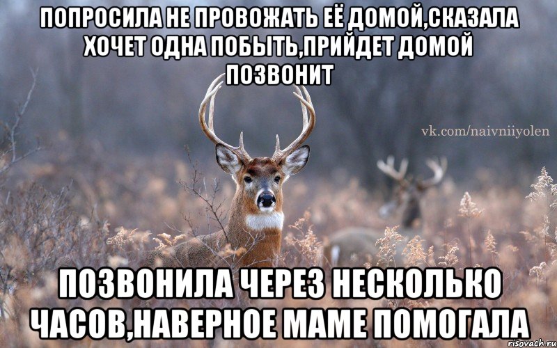 Попросила не провожать её домой,сказала хочет одна побыть,прийдет домой позвонит позвонила через несколько часов,наверное маме помогала, Мем   Наивный олень