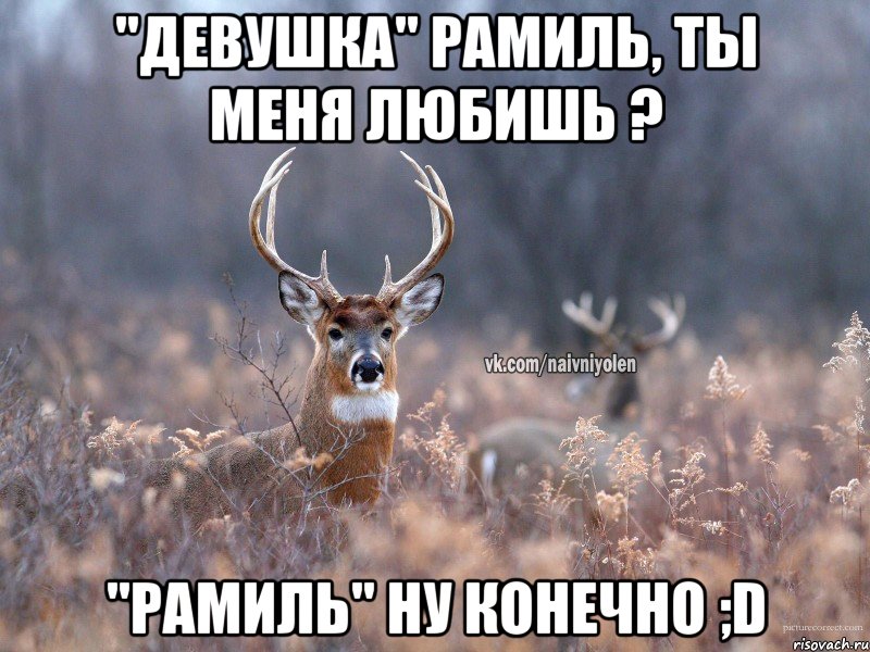 "Девушка" Рамиль, ты меня любишь ? "Рамиль" ну конечно ;D, Мем   Наивный олень