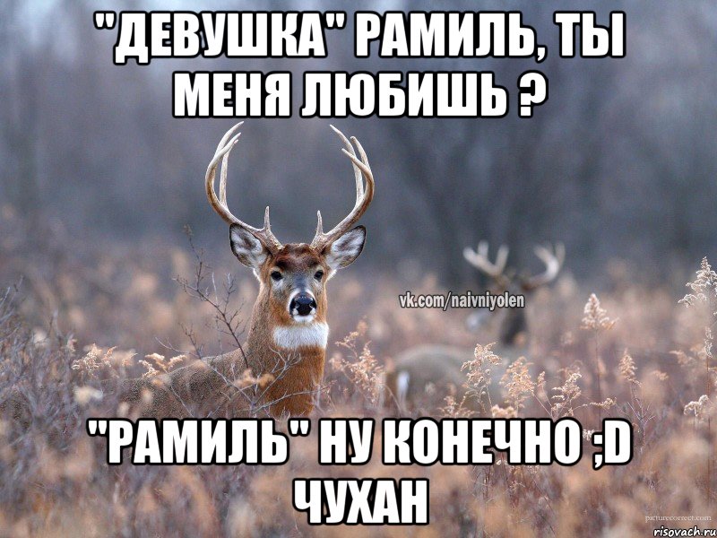 "Девушка" Рамиль, ты меня любишь ? "Рамиль" ну конечно ;D чухан, Мем   Наивный олень