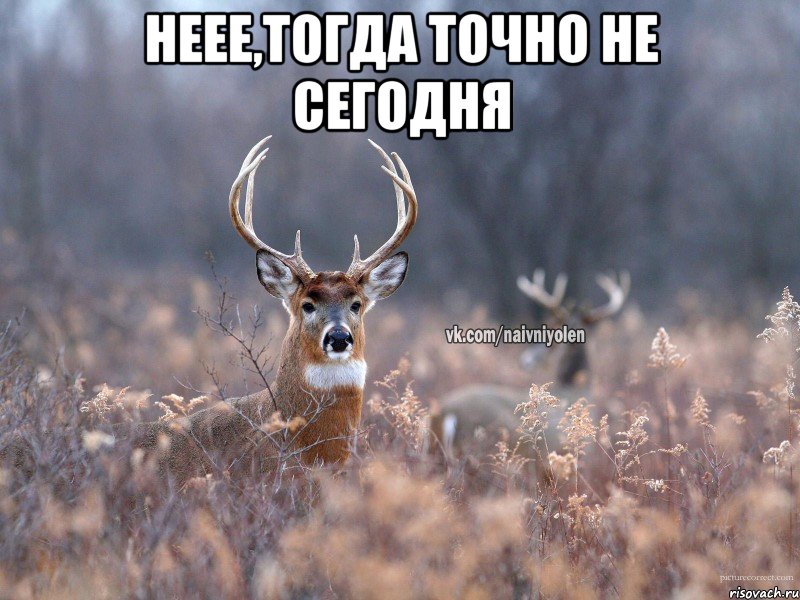 неее,тогда точно не сегодня , Мем   Наивный олень